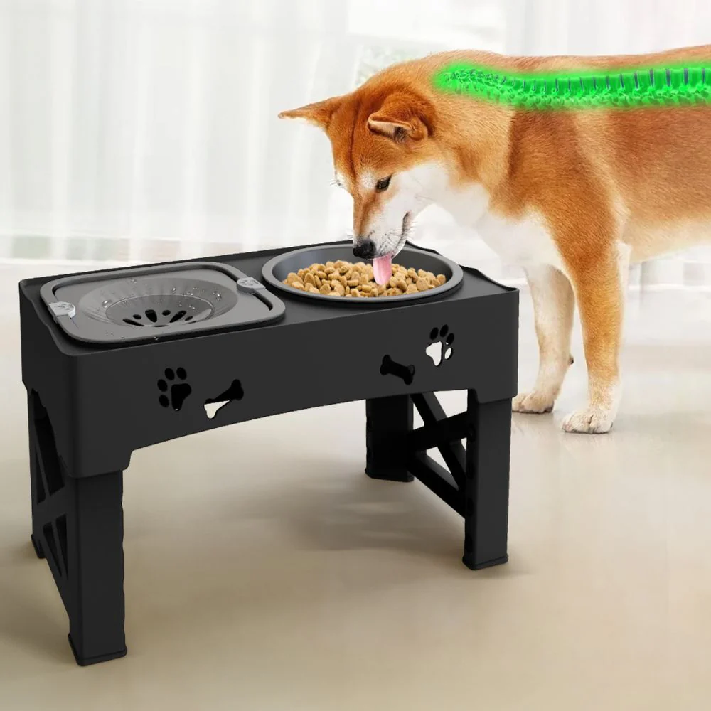 Adjustable Raised Pet Dog Slow Feeder - Image 2